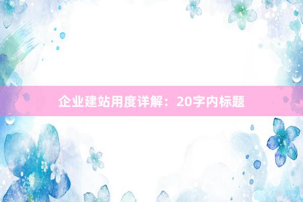 企业建站用度详解：20字内标题